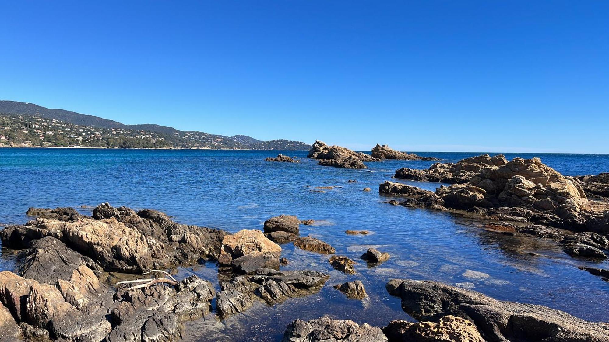 Port De Hyeres L'Etoile Marine Apartamento Exterior foto